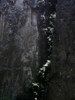 Green between cliffs 6