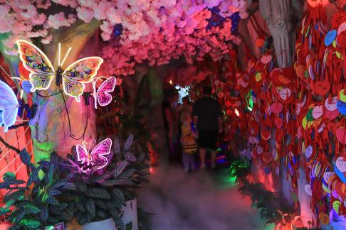 Millions of wishes 1