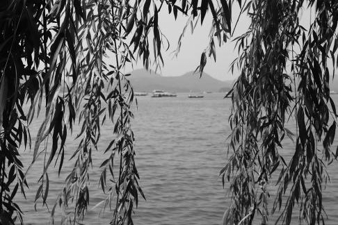 Lake light overlapping dreams 5