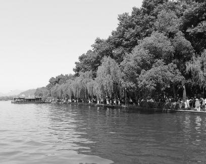 Lake light overlapping dreams 7