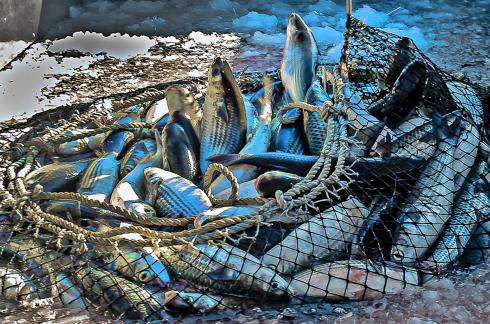 Breaking outside the net  A