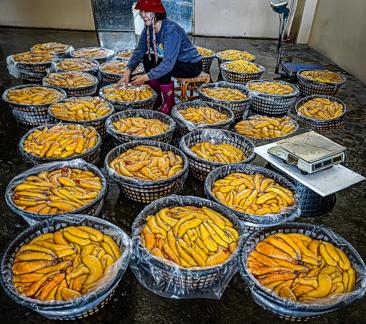 Cuttlefish roe market01