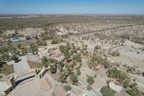 Desert becomes forest 5