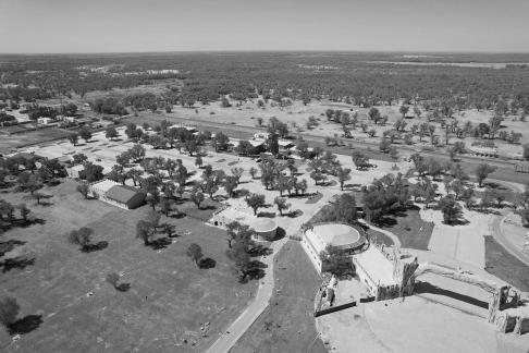 Desert becomes forest 4