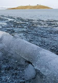 Sleeping Snow in Cold Pond 3
