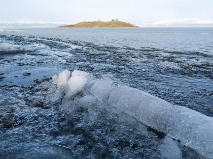 Sleeping Snow in Cold Pond 4