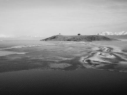 Sleeping Snow in Cold Pond 5