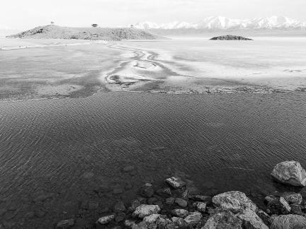 Sleeping Snow in Cold Pond 6