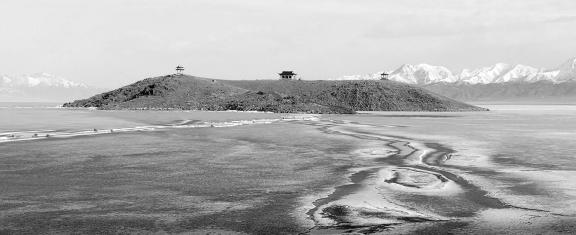 Sleeping Snow in Cold Pond 7