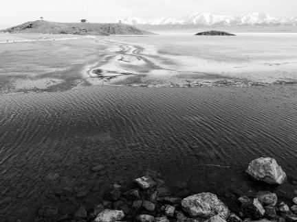 Sleeping Snow in Cold Pond 8