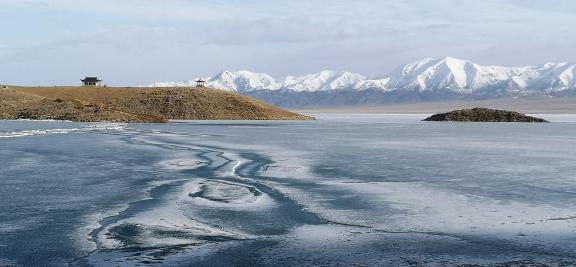 Sleeping Snow in Cold Pond 9