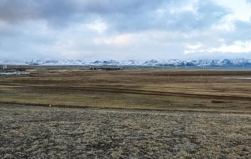 Snowtop Wilderness 23