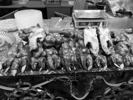 all kinds of delicious food 10