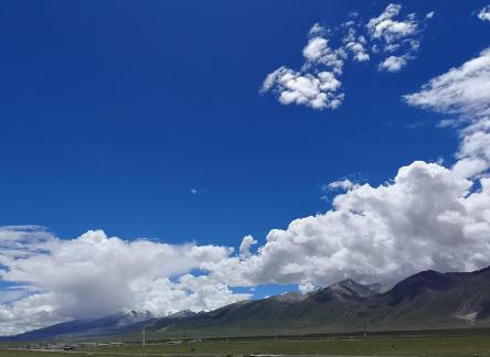 Yunmu Green Field 56