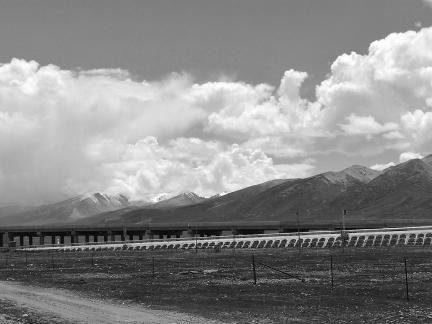 Yunmu Green Field 52