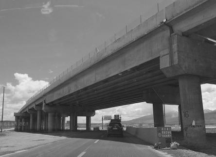 Yunmu Green Field 55