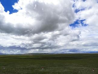 Yunmu Green Field 48