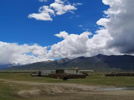 Yunmu Green Field 49