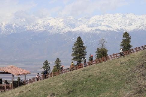 Snowy Ridge Pine Plains 23