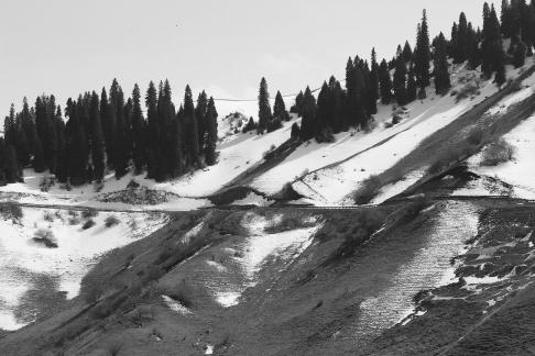 Snowy Ridge Pine Plains 25