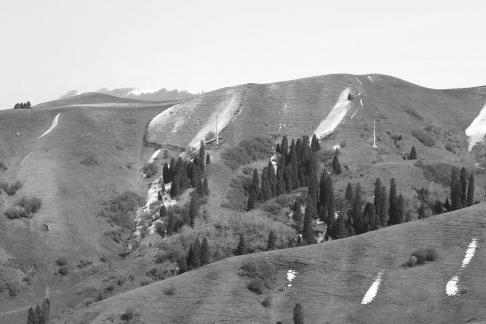 Snowy Ridge Pine Plains 26