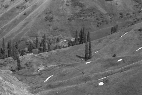 Snowy Ridge Pine Plains 27