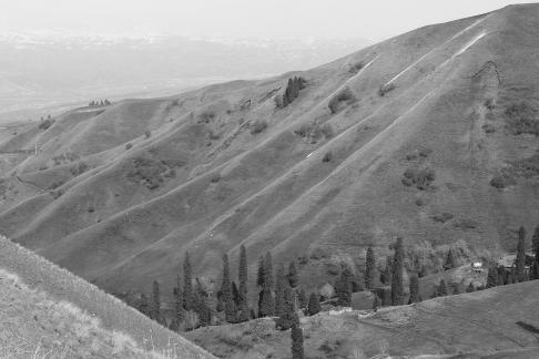 Snowy Ridge Pine Plains 28