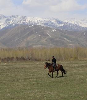 Grassland horse ranch 20