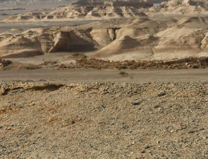 Rift Valley Morning Light 11