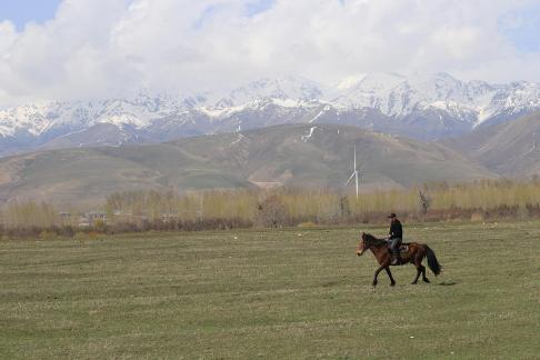 Grassland horse ranch 22