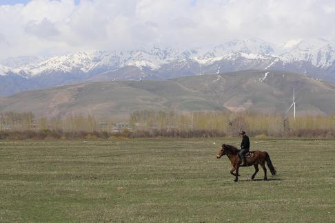 Grassland horse ranch 24