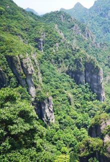 Green Wilderness and Tranquility 10