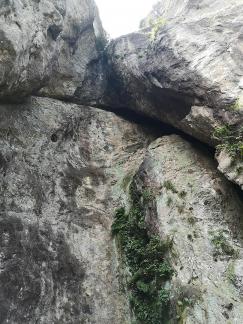 Green Wilderness and Tranquility 12