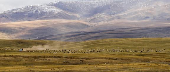 High mountain pasture 23