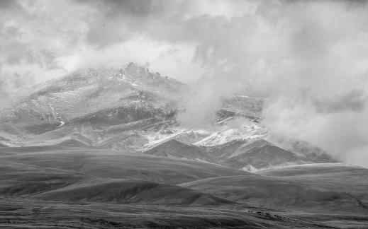 High mountain pasture 20