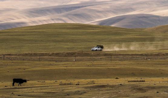 High mountain pasture 29