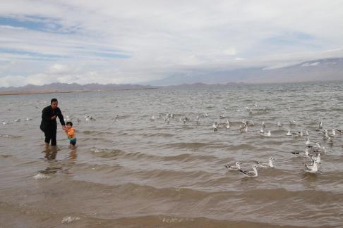 Dancing with seagulls 1
