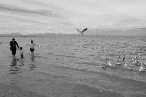 Dancing with seagulls 3