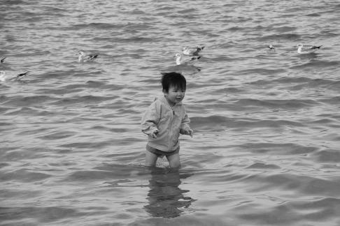 Dancing with seagulls 4