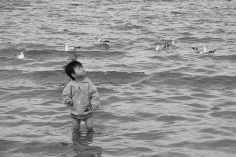 Dancing with seagulls 5