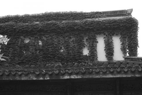 Impressions of Jiangnan 38