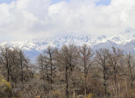Autumn View of Cold Mountain 1