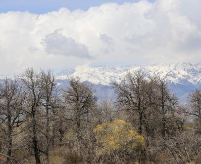 Autumn View of Cold Mountain 3