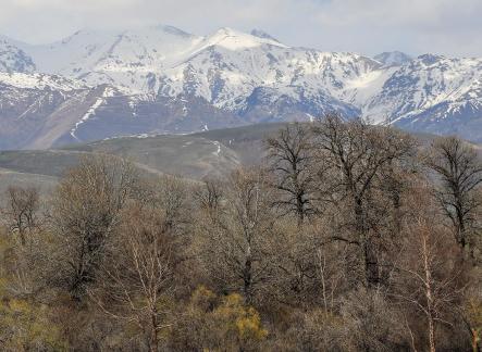 Autumn View of Cold Mountain 4