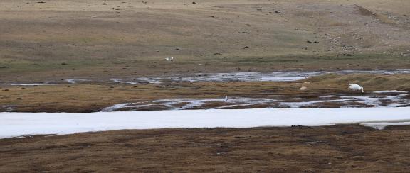 Digital Wilderness 2