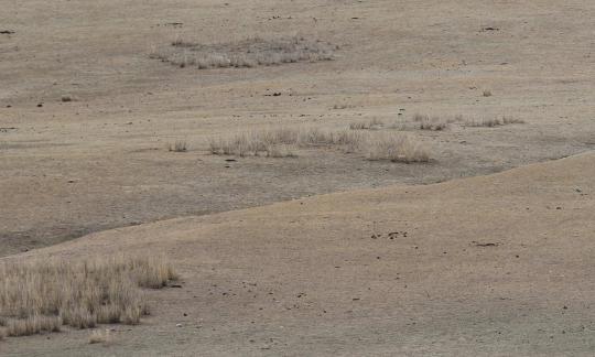 Digital Wilderness 3