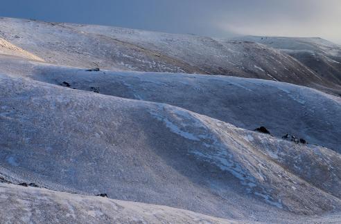 The Wilderness of Snow 1