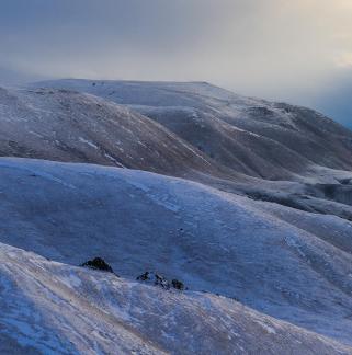 The Wilderness of Snow 2