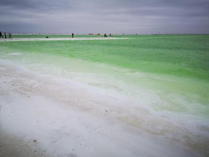 Green Salt Lake 23