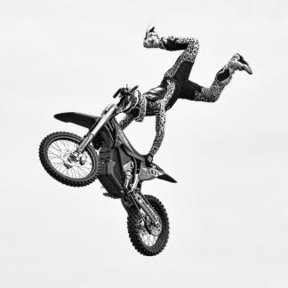 Freestyle One